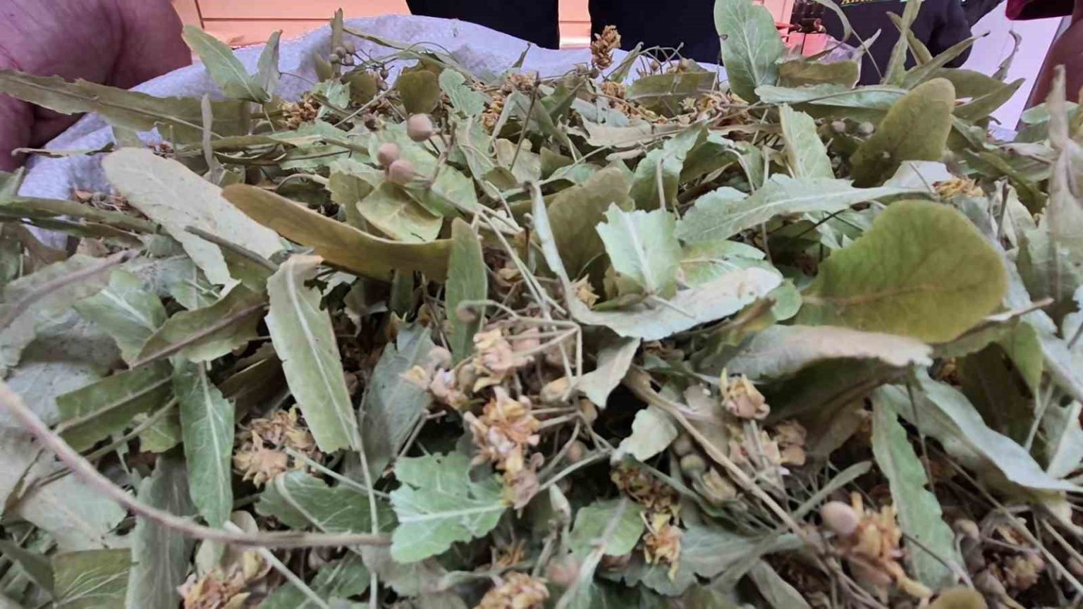 gecen-sene-altinla-yarisiyordu-bu-yil-fiyati-dustu