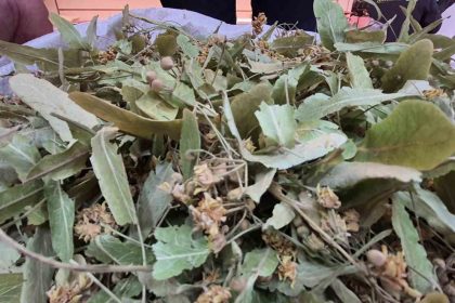 gecen-sene-altinla-yarisiyordu-bu-yil-fiyati-dustu