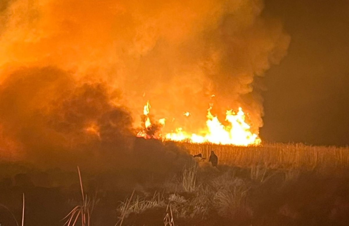 hakkaride-kus-cennetinde-yangin