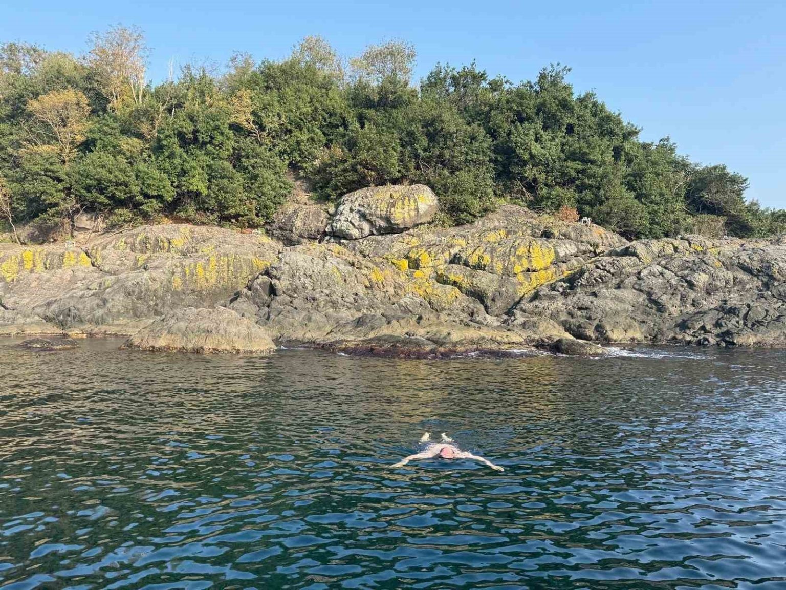 kasimda-deniz-keyfi-giresun-valisi-serdengecti-adada-yuzdu