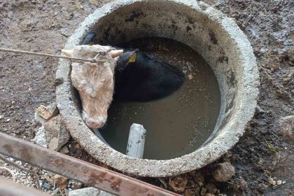 kuyuya-dusen-inegi-itfaiye-kurtardi