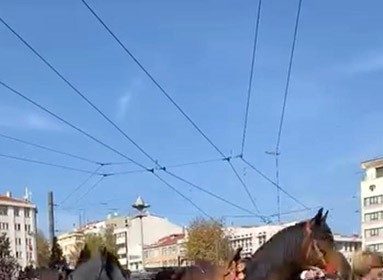 sehir-merkezinde-gezdirilen-atlar-vatandaslari-meraklandirdi