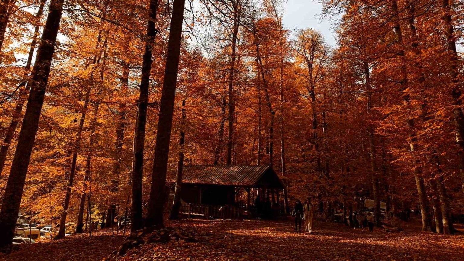 yedigoller-milli-parki-ziyaretci-akinina-ugradi