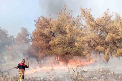antakyada-orman-yangini