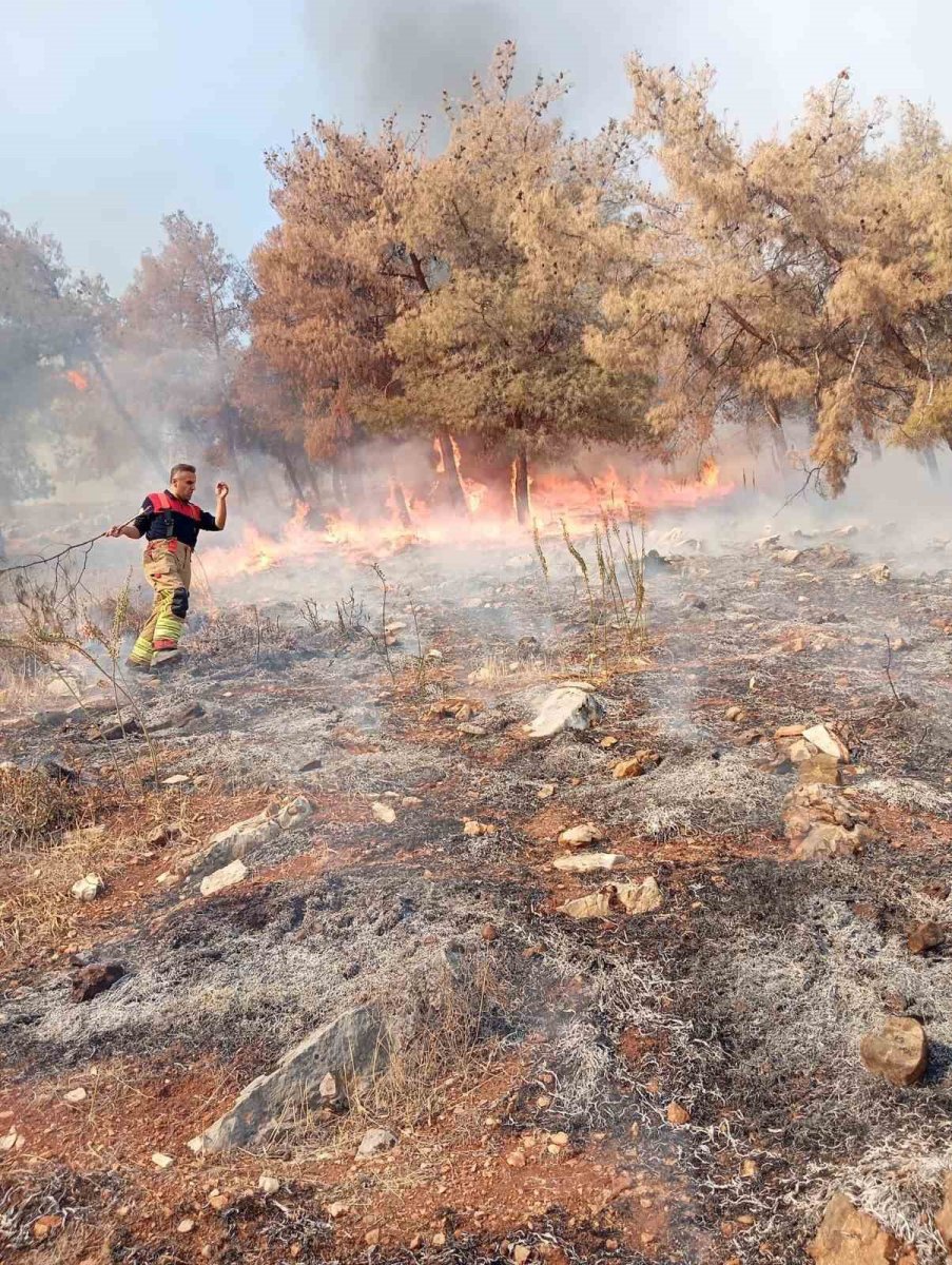 antakyada-orman-yangini