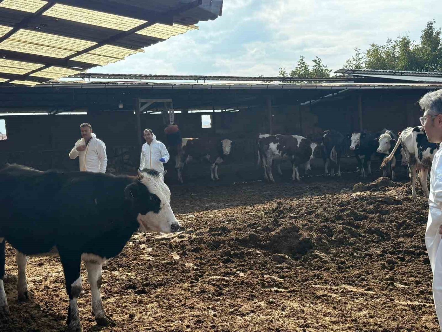 denizlide-sap-hastaligina-karsi-tedbirler-arttirildi