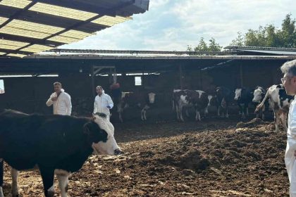 denizlide-sap-hastaligina-karsi-tedbirler-arttirildi