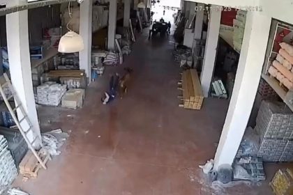 depoya-giren-inek-calisanlara-saldirdi-vatandaslar-guclukle-kurtuldu