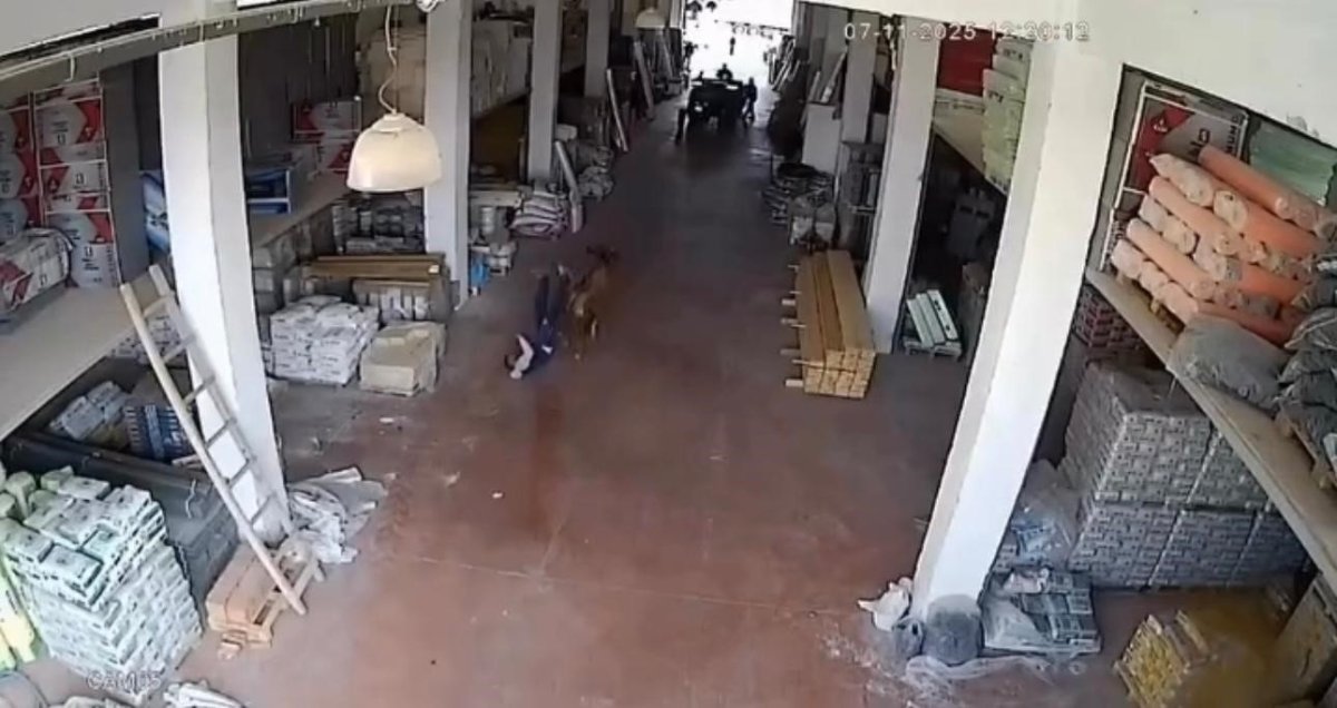 depoya-giren-inek-calisanlara-saldirdi-vatandaslar-guclukle-kurtuldu