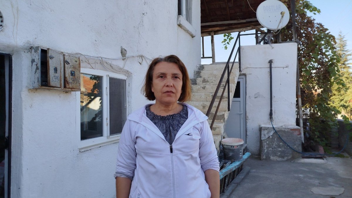 evin-catisina-yuva-yapan-esek-arilari-hastanelik-etti