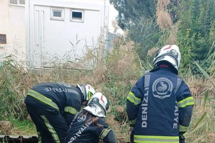 fosseptik-cukuruna-dusen-kopek-kurtarildi