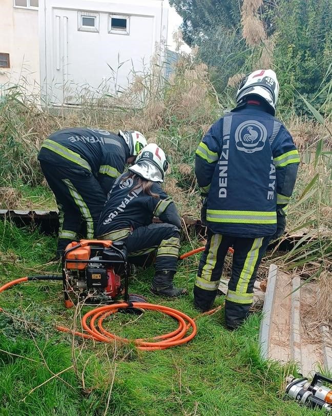 fosseptik-cukuruna-dusen-kopek-kurtarildi