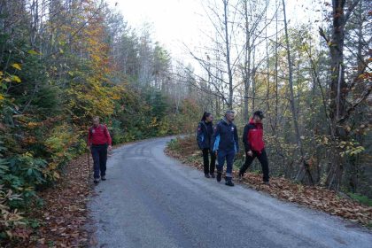 kastamonuda-kayip-anne-ile-oglunu-arama-calismalari-devam-ediyor
