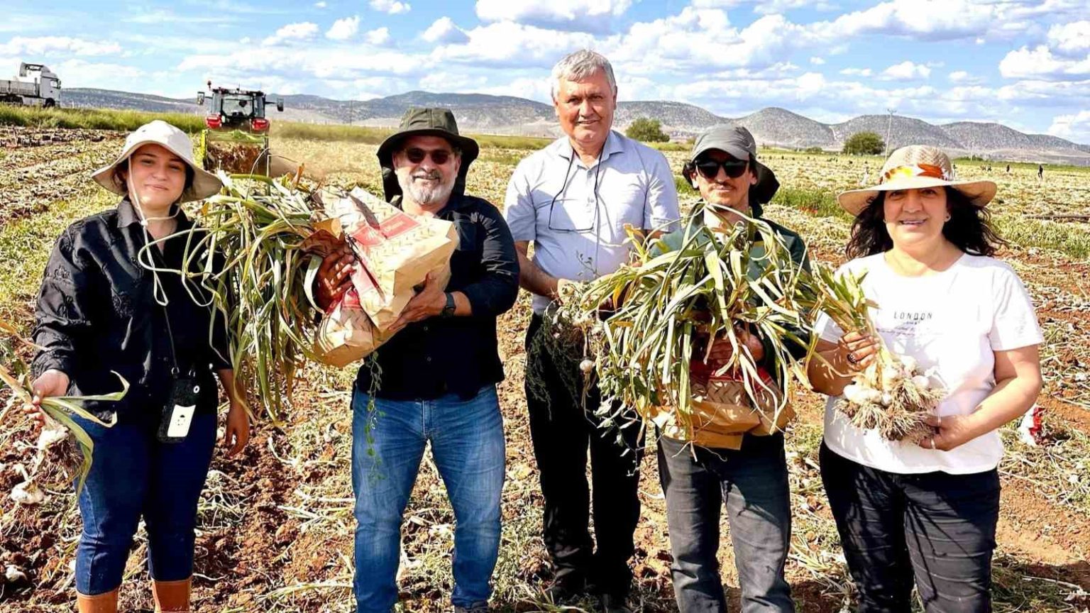 kbu-sarimsakta-fusarium-hastaliklarina-karsi-bilimsel-cozum-gelistirdi