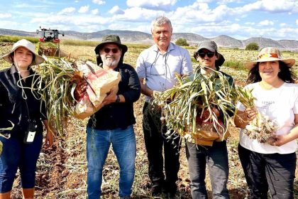 kbu-sarimsakta-fusarium-hastaliklarina-karsi-bilimsel-cozum-gelistirdi