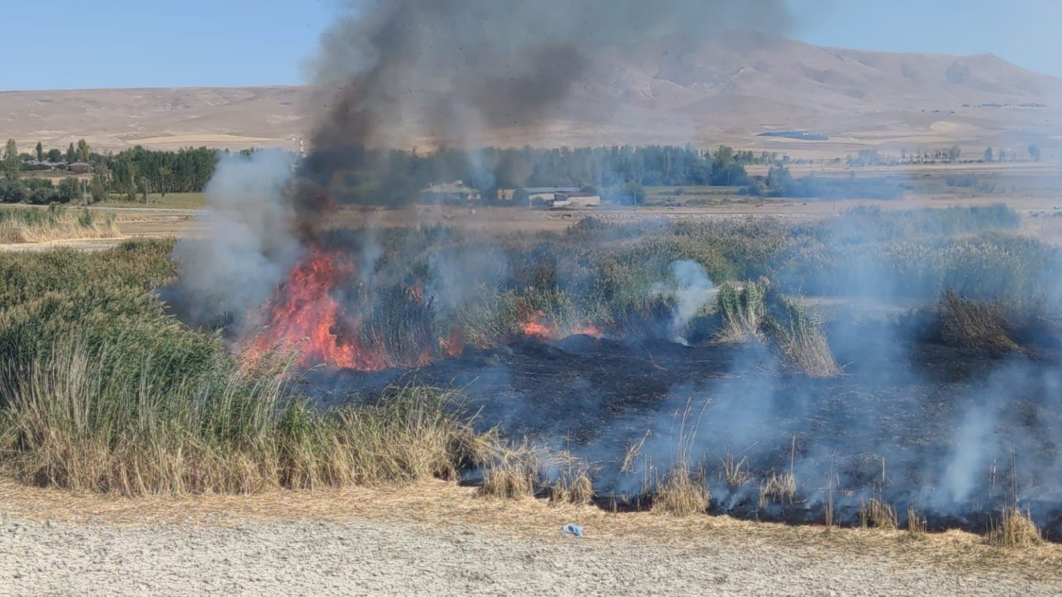 prof-dr-lokman-aslan-sulak-alanlar-tabiatin-rahimleridir