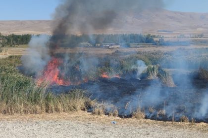 prof-dr-lokman-aslan-sulak-alanlar-tabiatin-rahimleridir