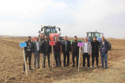 sivasta-5-farkli-ekmeklik-bugday-pilot-bolgede-toprakla-bulusturuldu