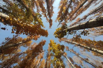 vanin-sonbahar-guzelligi-van-kalesi-ve-ataturk-kultur-parki-ziyaretcilerin-gozdesi-oldu