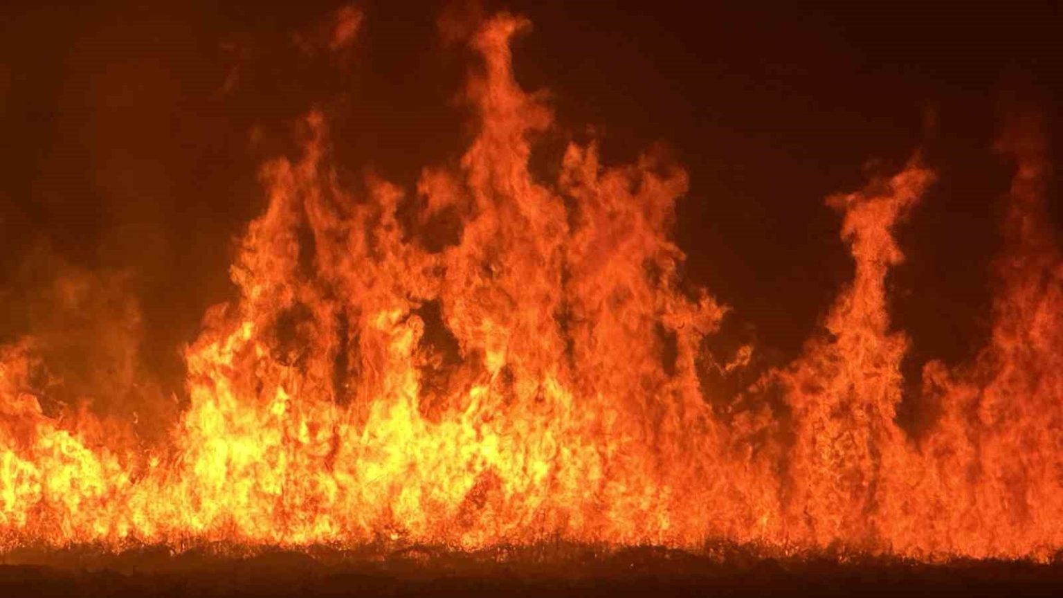 yuksekovada-kus-cenneti-nehil-sazligindaki-yangin-yerlesim-yerlerini-tehdit-ediyor