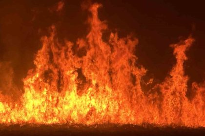 yuksekovada-kus-cenneti-nehil-sazligindaki-yangin-yerlesim-yerlerini-tehdit-ediyor