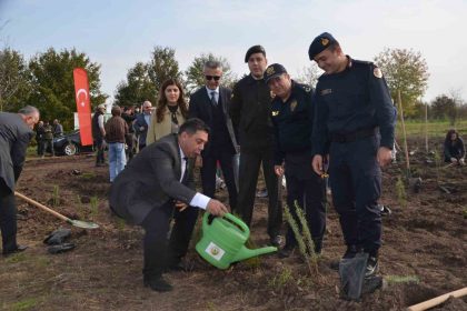 bafrada-8-bin-fidan-toprakla-bulustu