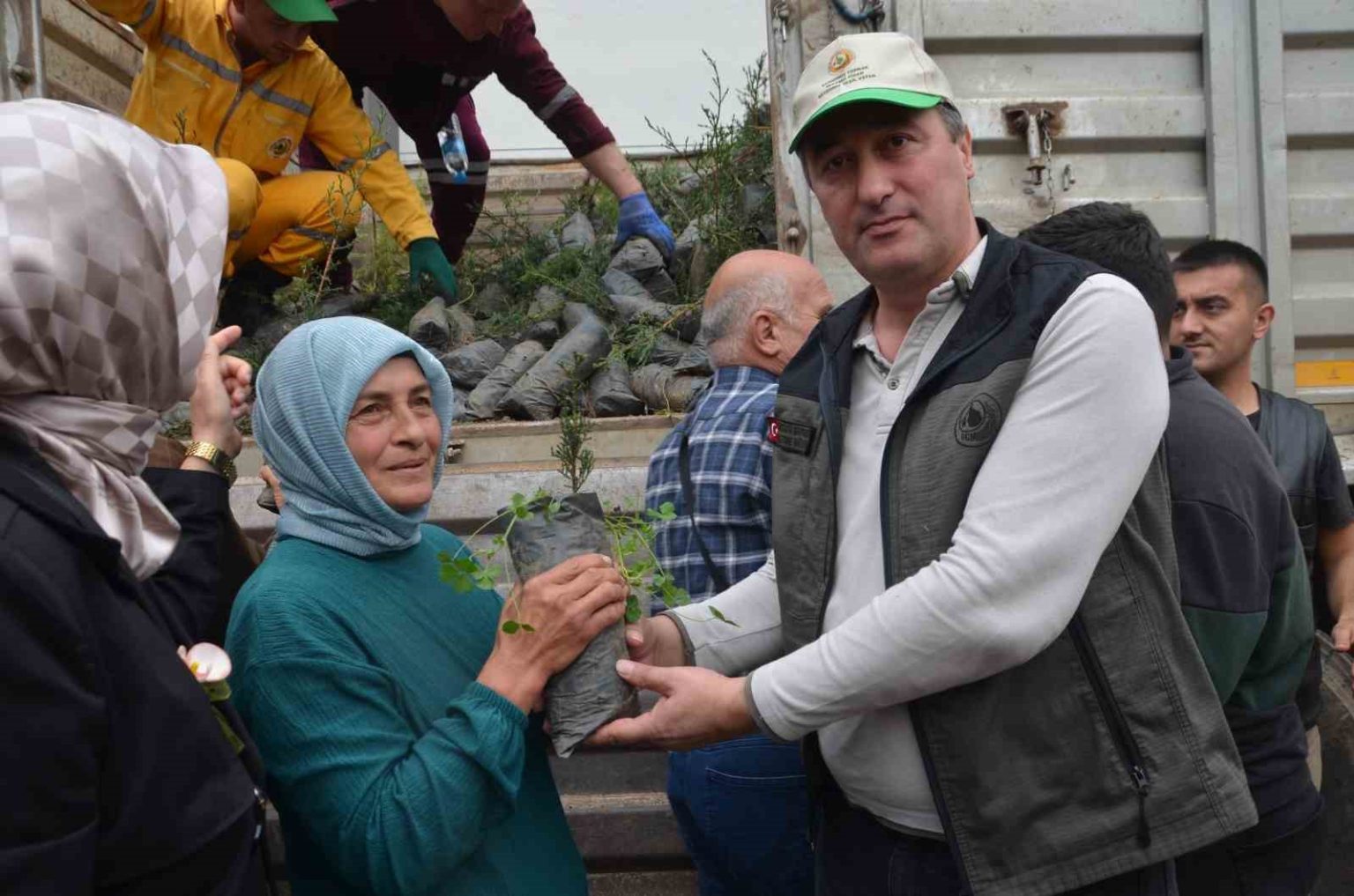 bafrada-fidan-dagitimi