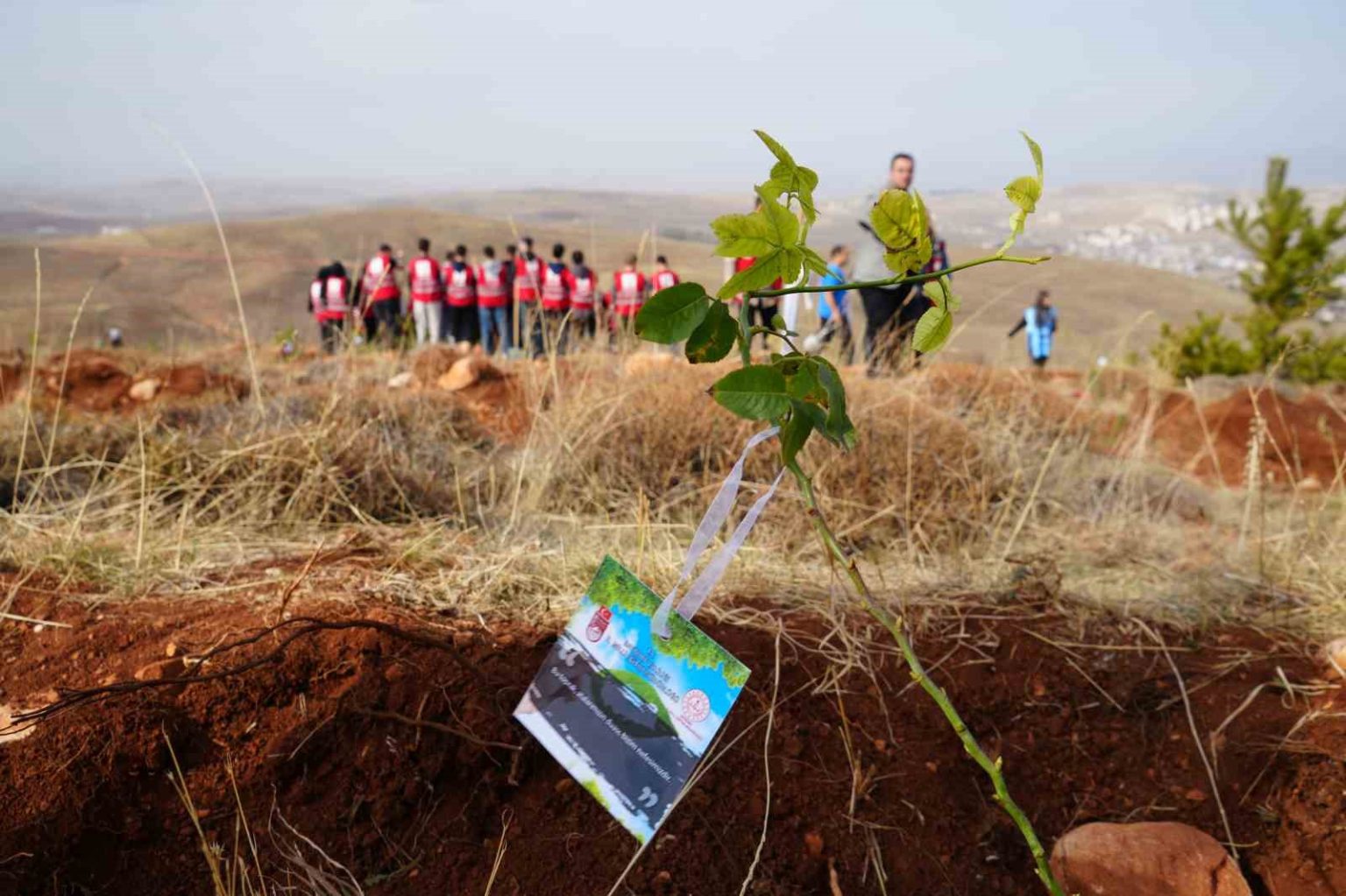 bayburtta-97-bin-620-fidan-toprakla-bulusturuldu