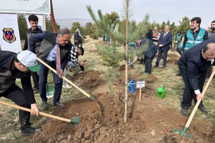 bingolde-25-bin-fidan-toprakla-bulustu