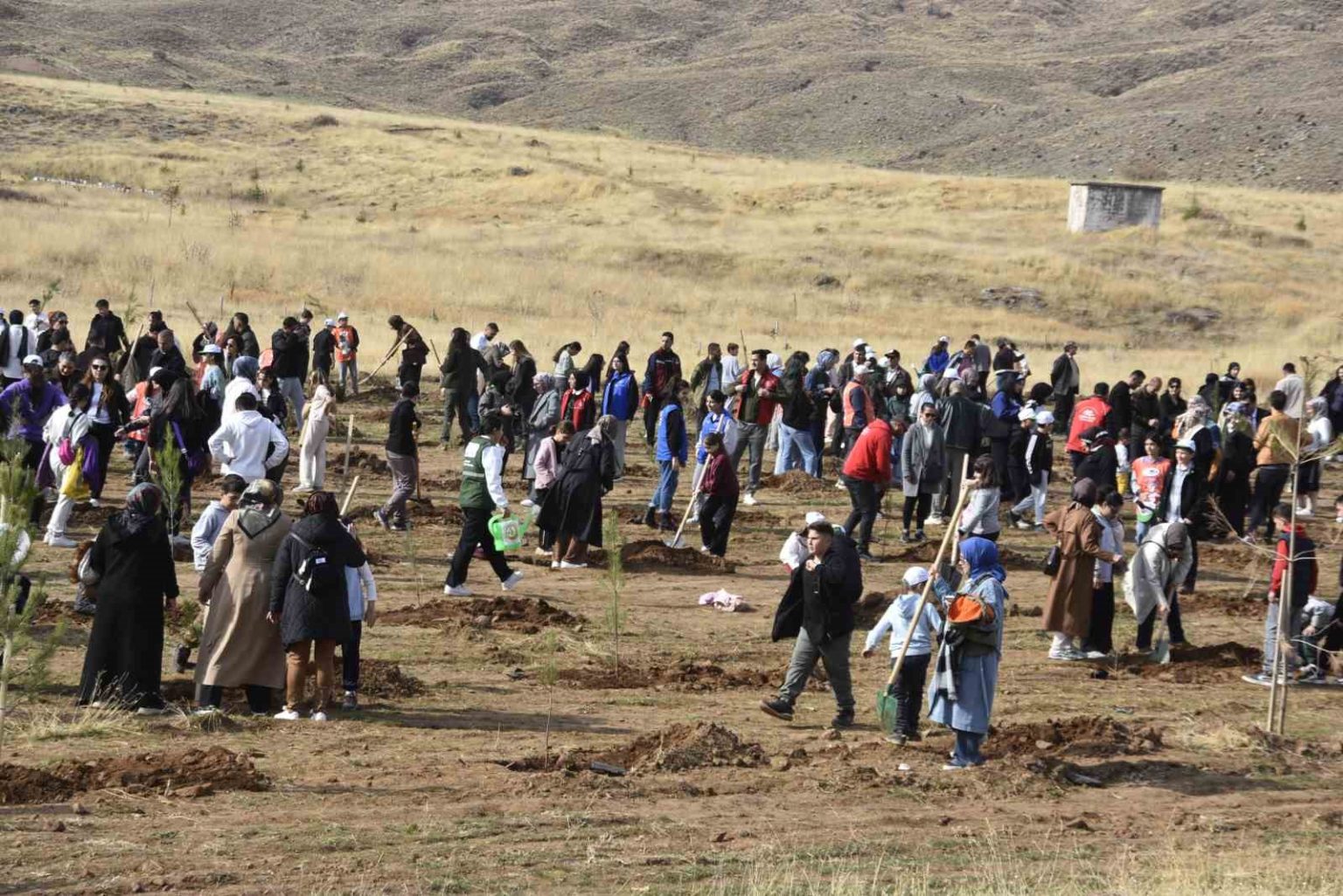 bitliste-milli-agaclandirma-seferberligi