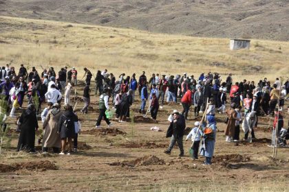 bitliste-milli-agaclandirma-seferberligi