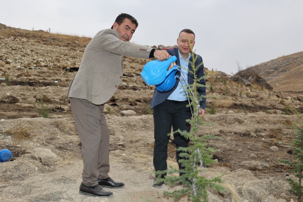 bunyanda-milli-agaclandirma-gununde-fidanlar-toprakla-bulustu