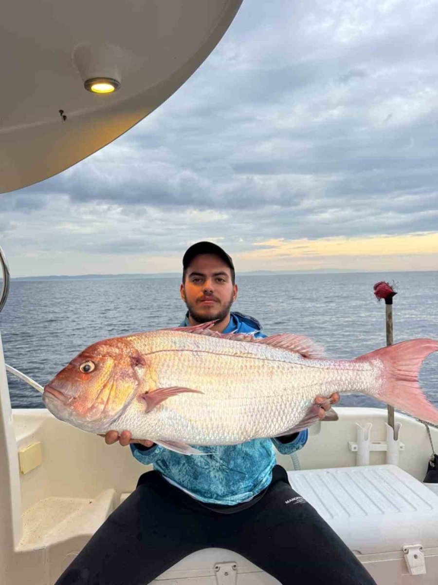 canakkalede-balikcilar-12-kilogramlik-mercan-baligi-yakaladi