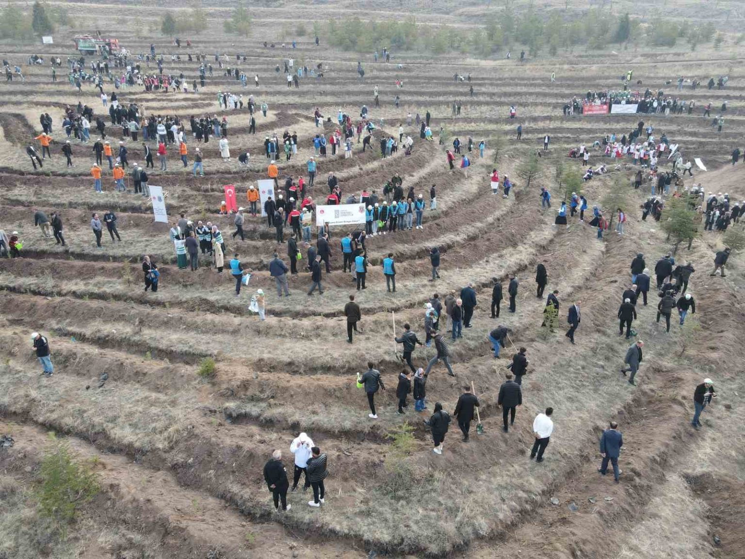 corumda-binlerce-fidan-toprakla-bulusturuldu