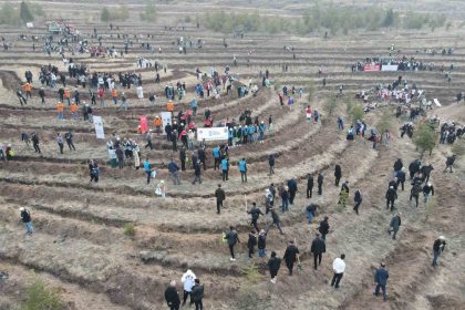 corumda-binlerce-fidan-toprakla-bulusturuldu