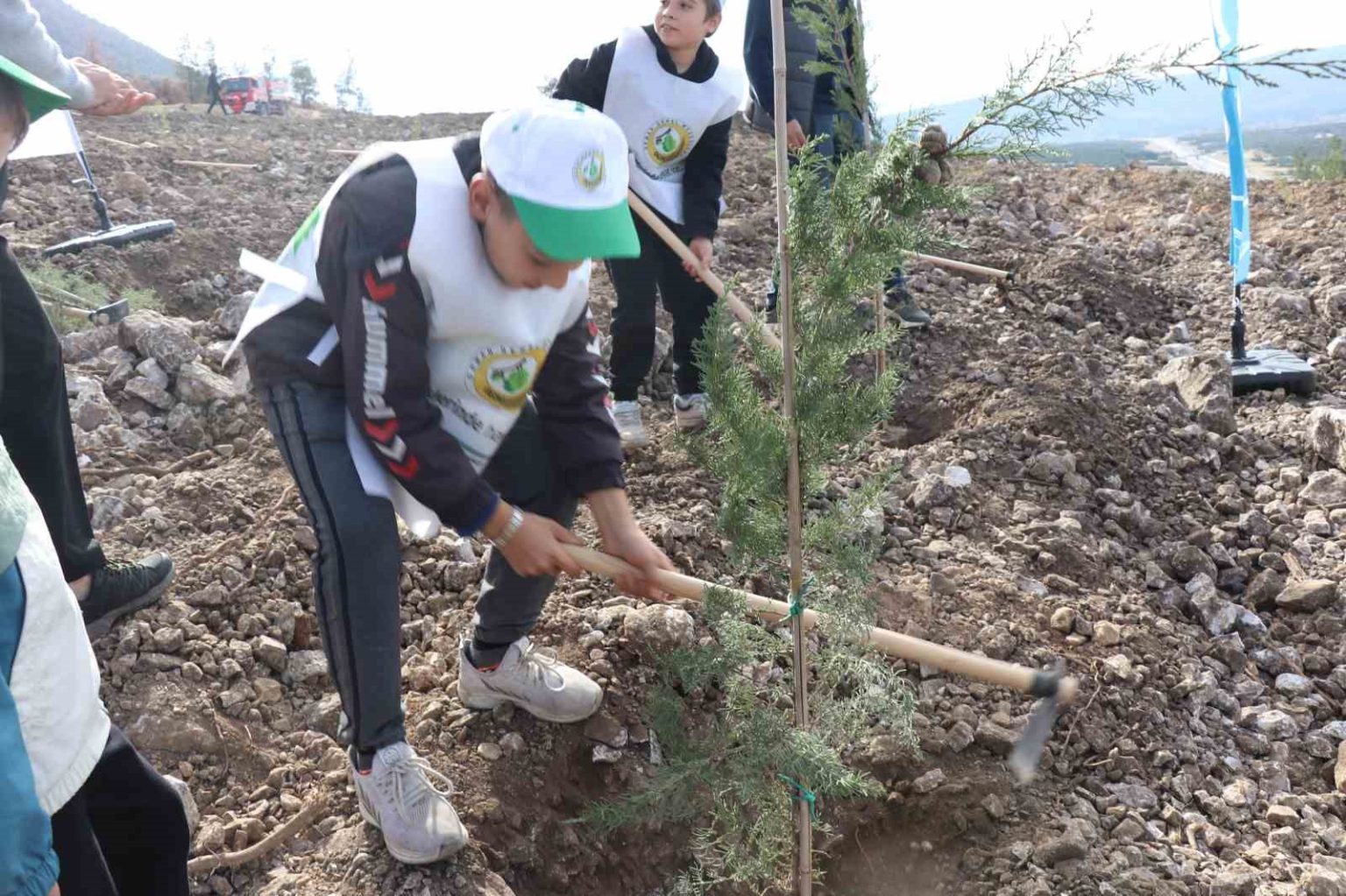 denizlide-yanan-alanlarda-binlerce-fidan-toprakla-bulustu