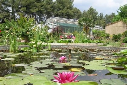 ege-universitesinin-endemik-tur-cenneti-botanik-bahcesi