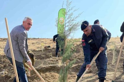 fidanlar-toprakla-bulustu
