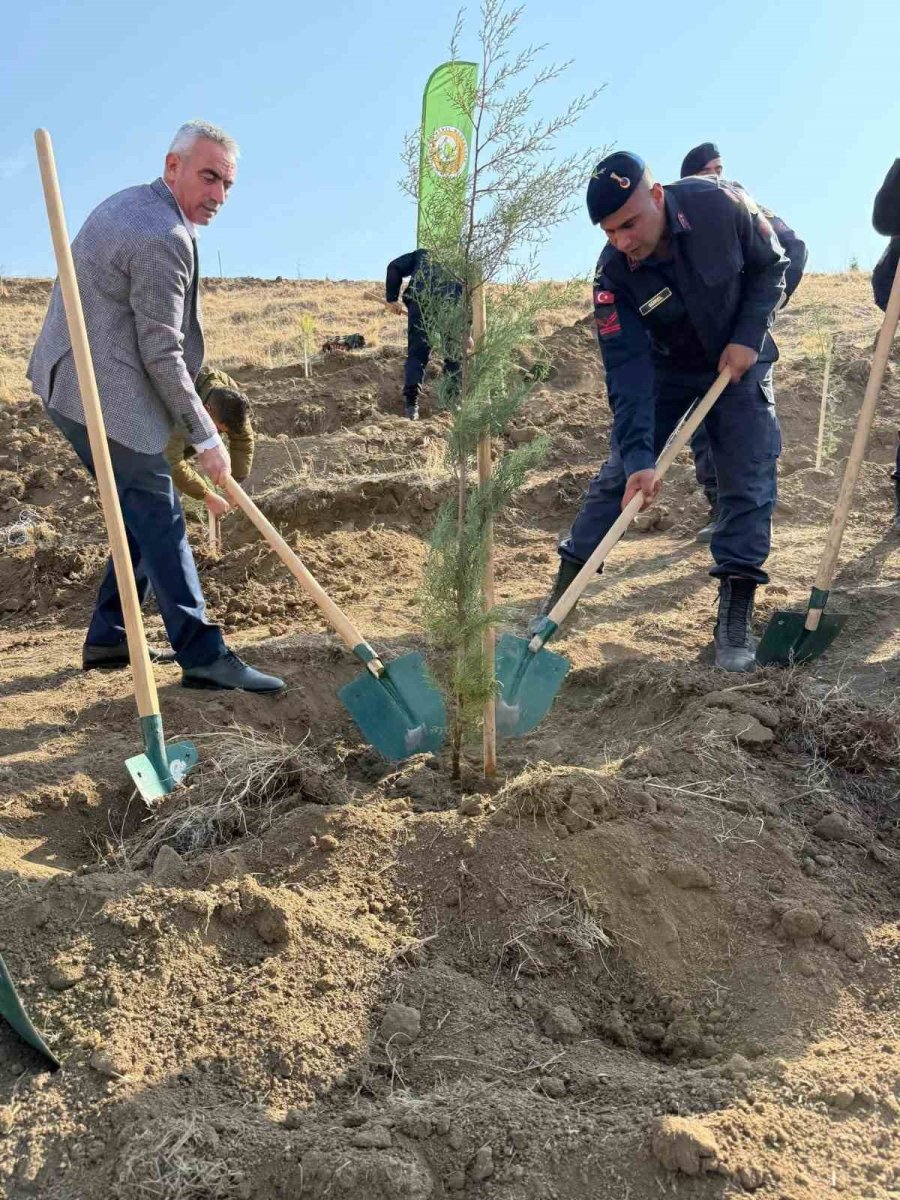 fidanlar-toprakla-bulustu