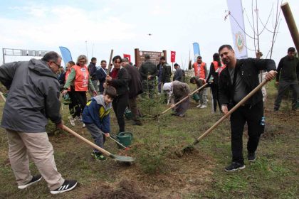 gerzede-sehit-orman-gorevlileri-anisina-fidan-dikildi