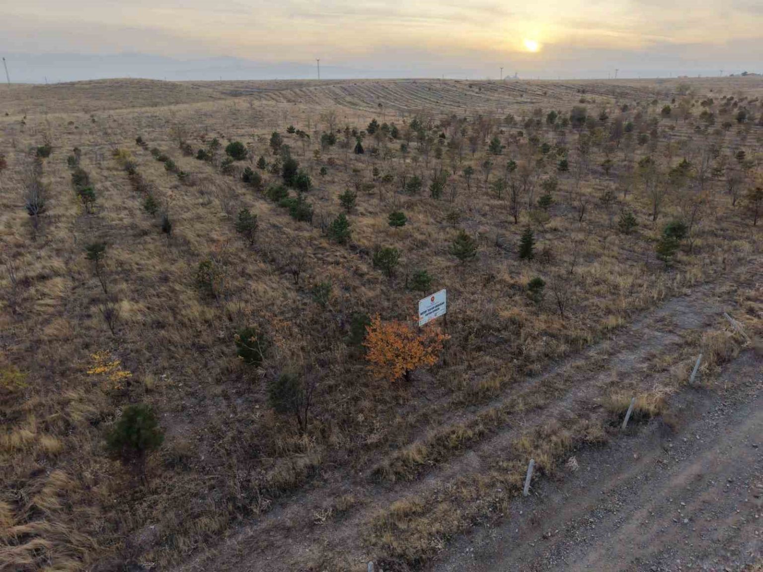 igdirda-fidanlar-toprakla-bulustu