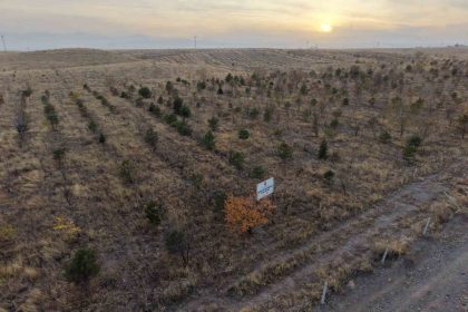 igdirda-fidanlar-toprakla-bulustu