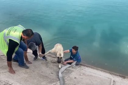 iki-cocuklu-kahraman-anne-firata-dusen-kangali-boyle-kurtardi