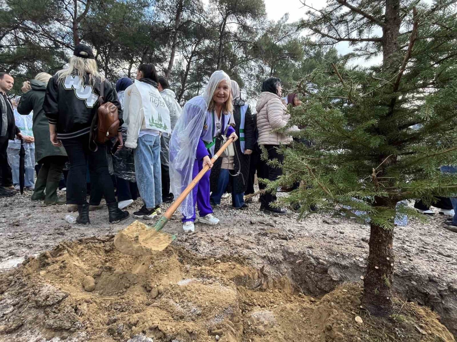 izmirde-115-bin-fidan-toprakla-bulustu