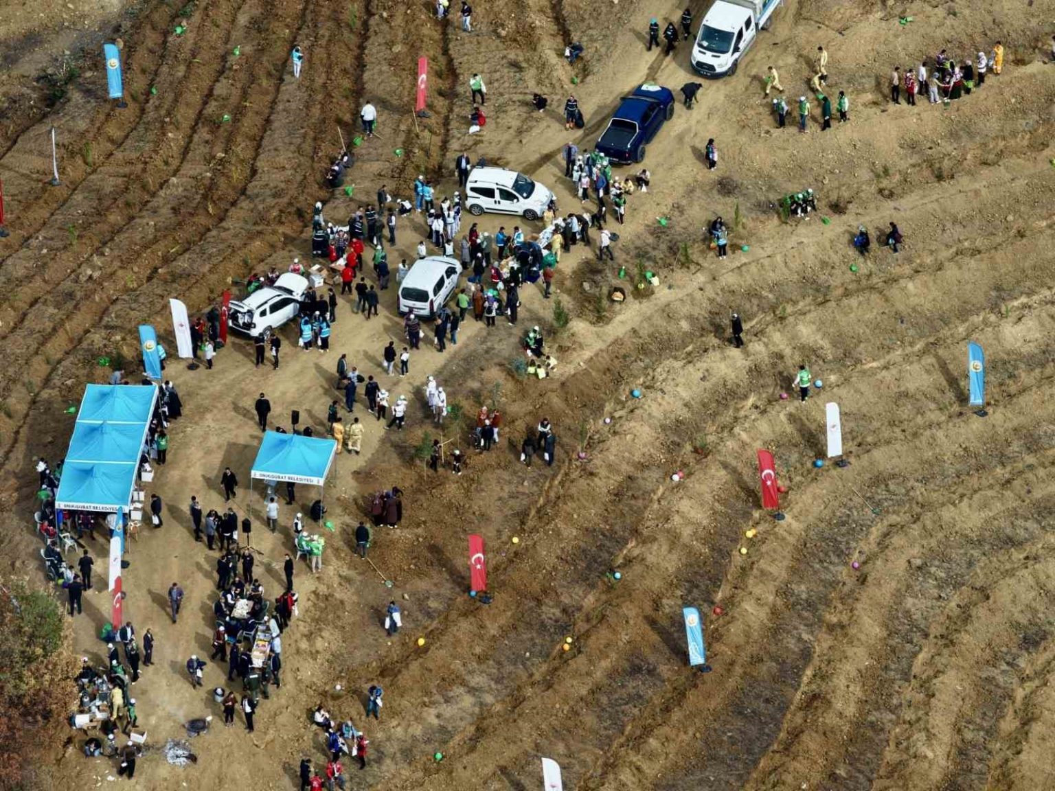 kahramanmarasta-yanan-alanlara-fidanlar-dikildi