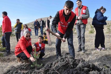 karsta-5-bin-500-fidan-toprakla-bulustu