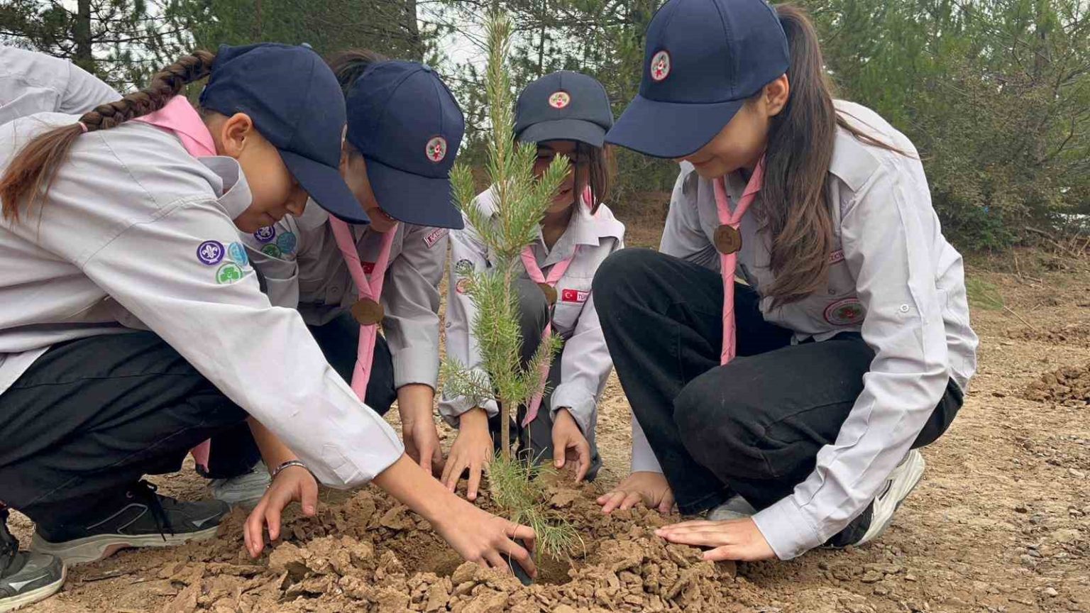 kastamonuda-fidanlar-toprakla-bulustu