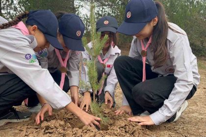 kastamonuda-fidanlar-toprakla-bulustu