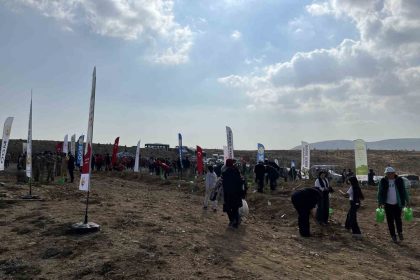 konyada-33-bin-811-fidan-toprakla-bulustu