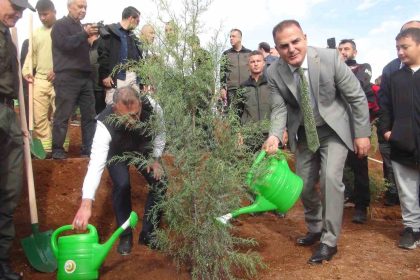 muglada-33-bin-fidan-toprak-ile-bulustu